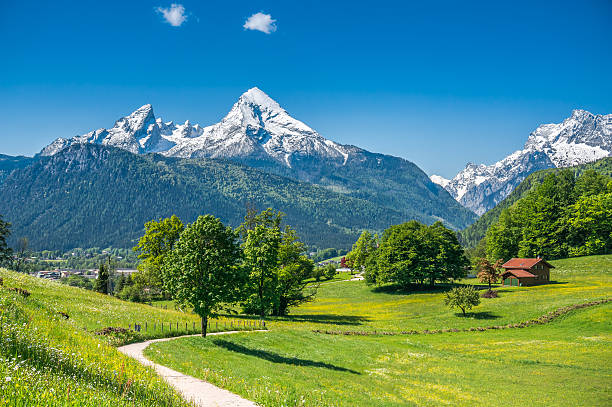 istock Idyllic landscape in the Alps with mountain pastures in springtime 489337762