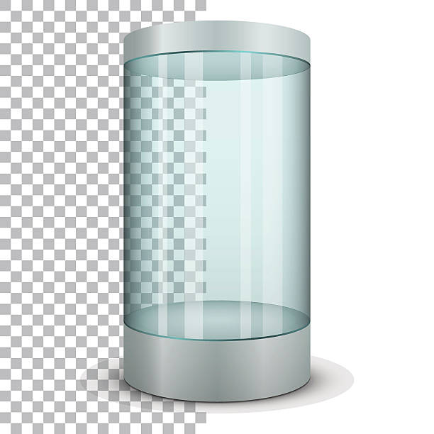 Display Case Vector Image 1,600+ Glass Display Cases Stock Illustrations, Royalty-Free Vector ...