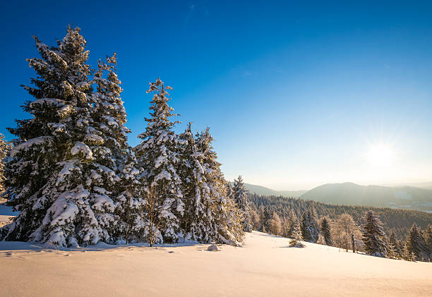 istock Sunrise in Carpathian Mountains 489341554