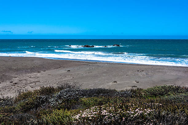 istock The beach near Cambria, California 489343562