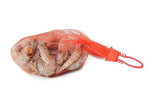 istock seafood fresh shrimp isolated on white background 489344142