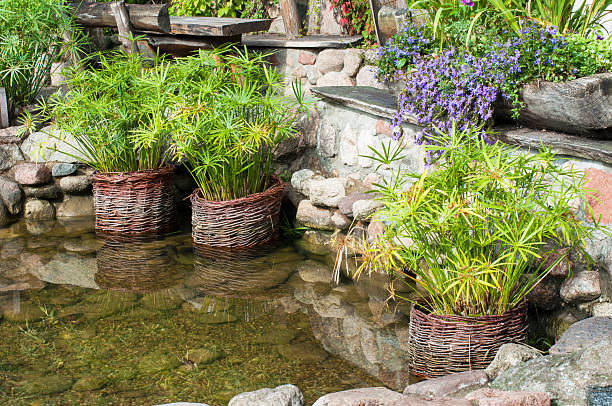 Garden pond Small pond in the garden water garden stock pictures, royalty-free photos & images