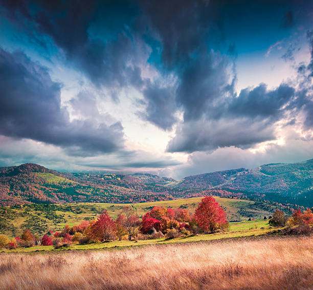 istock Dramatic autumn morning in the Carpathian mountains 489348634