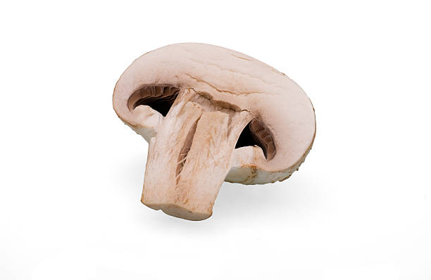 istock champignons mushrooms on white background 489349462