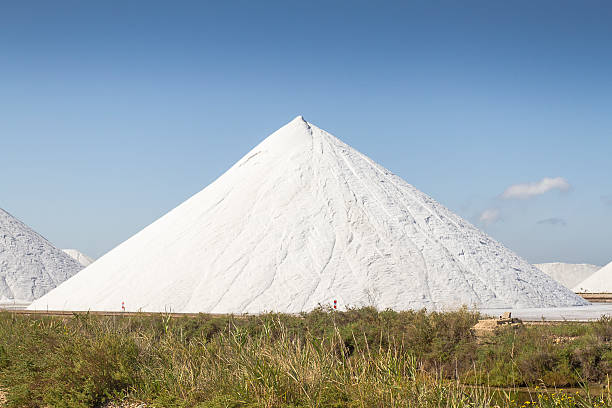 Salt production in a salt flats - Aigues-Mortes - Camargue - France