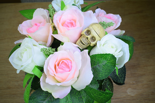 Skull and Flowers, still life