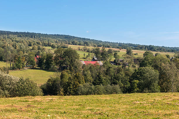 istock Summer Polish landscape in Sudety mountains 489352094