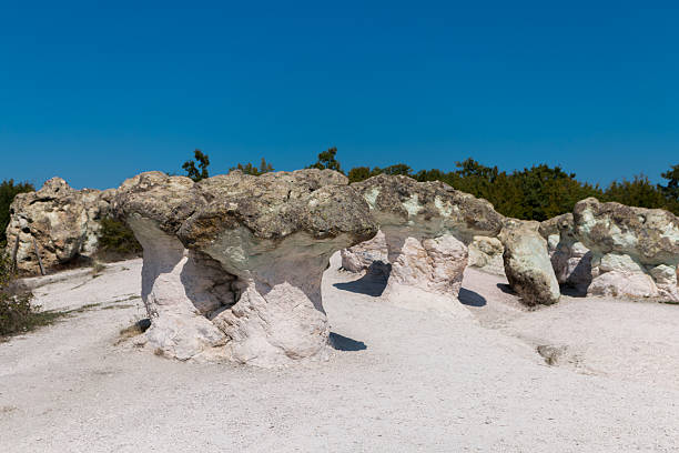 istock Natural phenomenon Stone mushrooms, Bulgaria 489352254