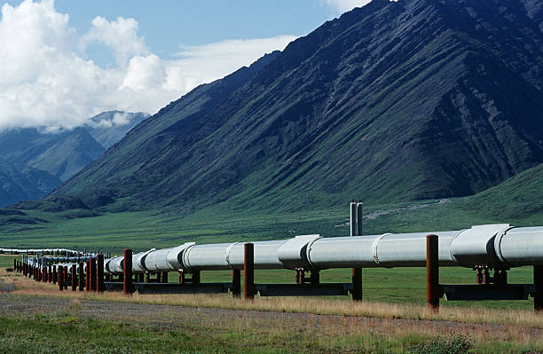 istock Dalton Highway pipeline in valley 489355491