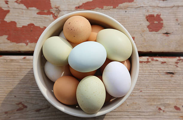 Colorful farm fresh eggs in bowl on wood plank floor stock photo