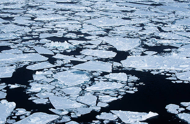Antarctica, Weddell Sea, ice floe