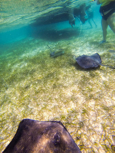 istock Photo taken in Belize 489361379