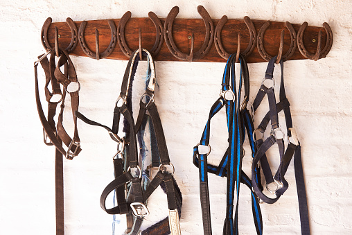 Shot of riding tack hanging from a wall