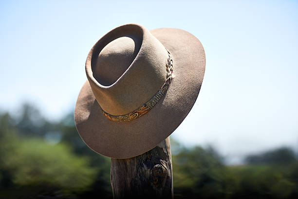 Cowboy Hat isolated on white background. 3D render