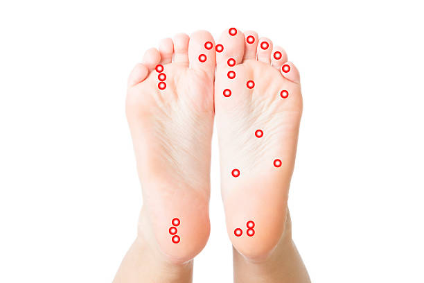 acupressure de fêmea pés - reflexology pedicure massaging human foot imagens e fotografias de stock