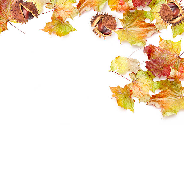 istock border frame of colorful autumn leaves 489378148