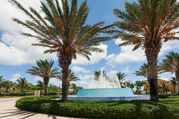 istock Image of palm trees around a water fountain. 489378832