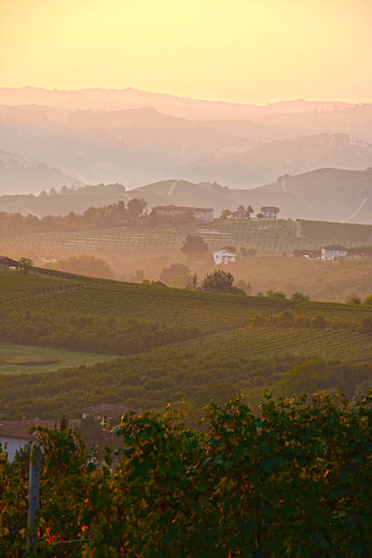 istock Sunrise in Piedmont 489380680