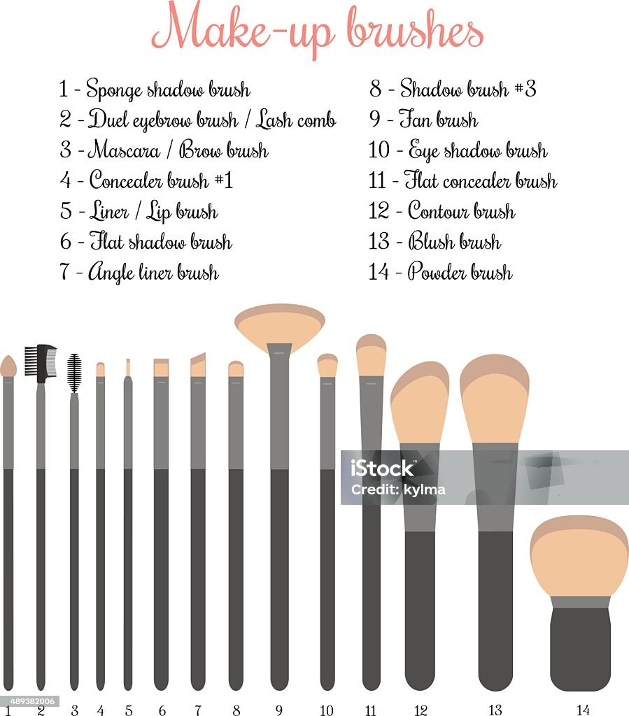 Make-up brushes set Vector illustration of 14 make-up brushes with names 2015 stock vector