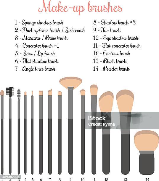 Makeup Brushes Set Stock Illustration - Download Image Now - 2015, Adult, Arts Culture and Entertainment