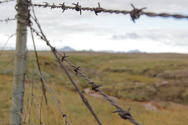 istock Barbed Wire Fenced Meadow 489382216