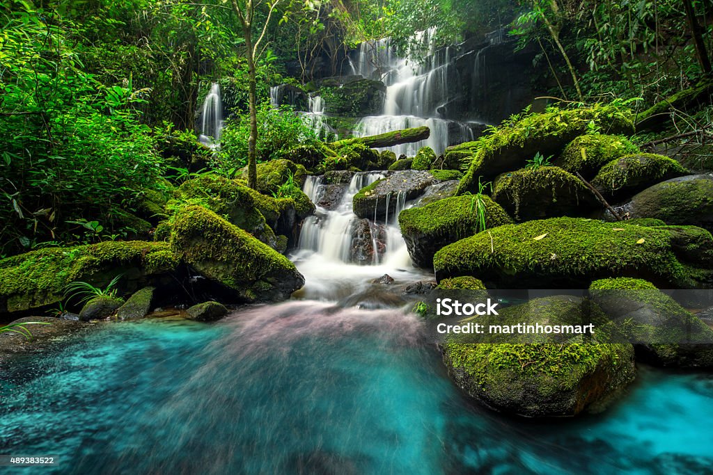 Schöner Wasserfall Im Grünen Wald Im Dschungel Stockfoto und mehr ...