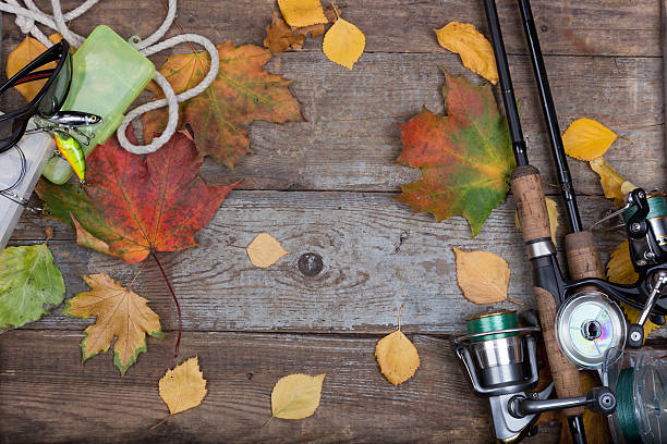 istock fishing tackles on board with leafs autumn 489386624