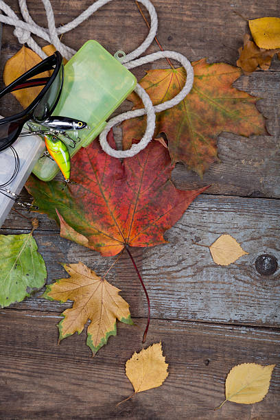 istock box a fishing tackles on board with leafs autumn 489386722