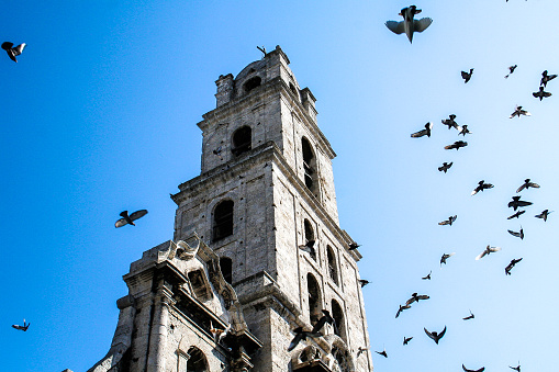 Birds Flying Around Tower