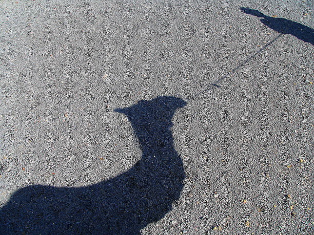 istock The Shadow of the Camel 489425554