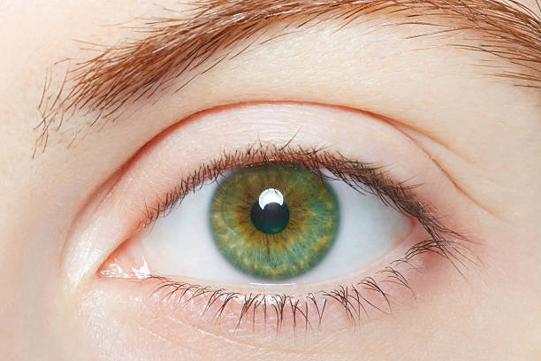 istock Human, green healthy eye macro 489426068
