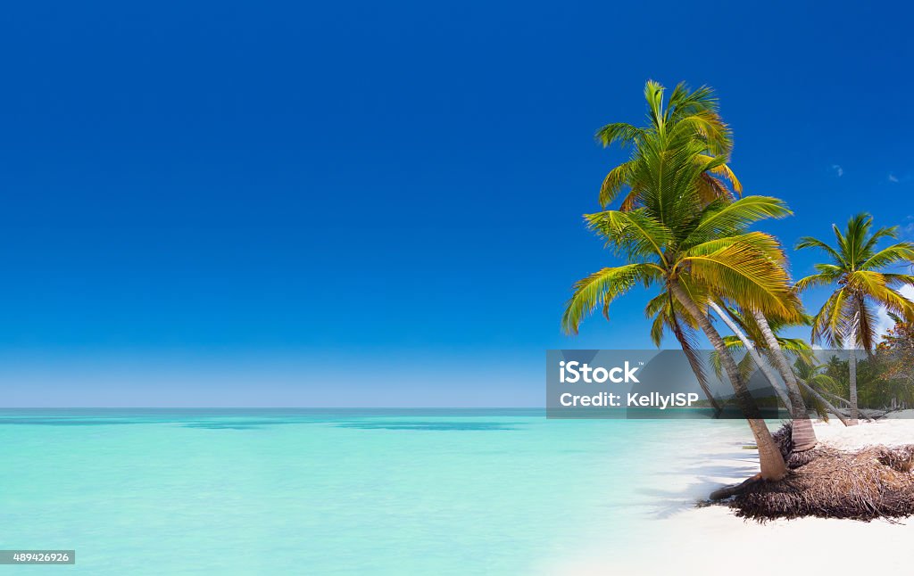 Tropical beach in Dominican Republic Tropical paradise - palm trees on white sand beach in caribbean wild nature scenery near Punta Cana, Dominican Republic Beach Stock Photo