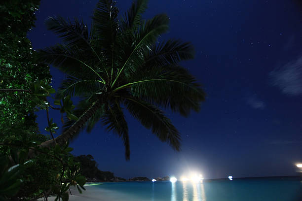 istock night landscape palm bay island 489427506