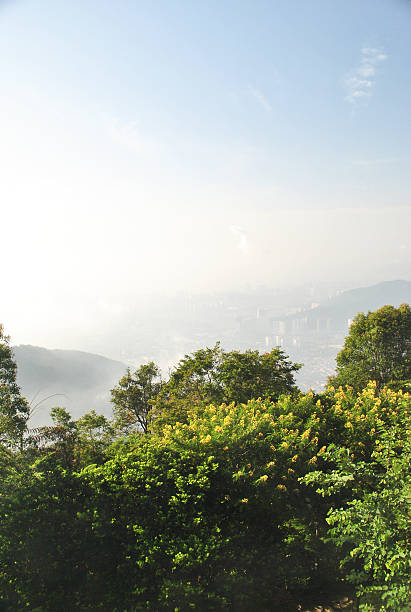 istock morning in new day 489428881