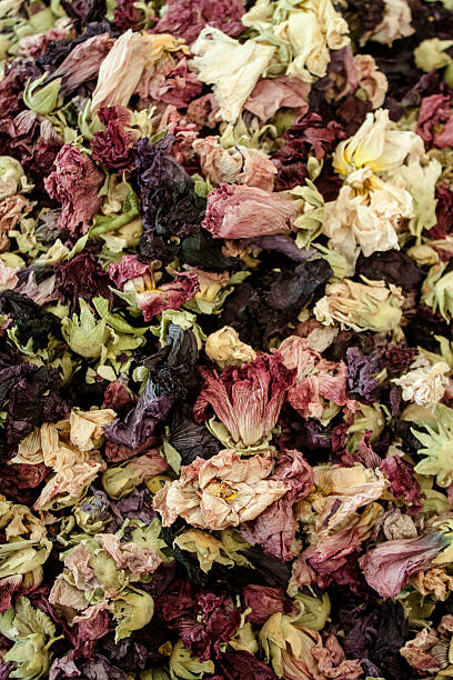flores, combinação backgrund multicolorida - jasmine tea leaf dry green tea - fotografias e filmes do acervo