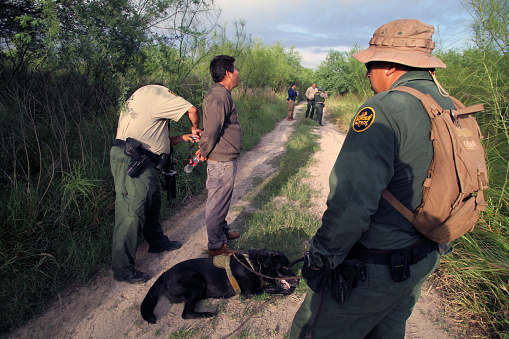 La Paloma, Texas, USA - September 22, 2015:  A  Border Patrol agent accompanied by his tracking dog transfers an illegal Mexican alien who has recently come ashore to another agent near the Rio Grande River.  Such encounters are a daily experience in the Rio Grande Valley sector of Border Patrol operations.