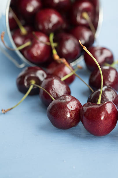 Cherries Falling Out from a Bucket stock photo