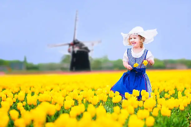 Photo of Laughing girl in national Dutch costume collecting tulips next windmill