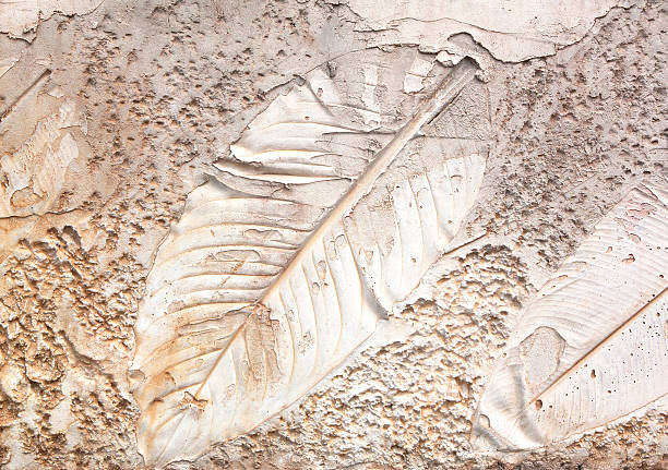 marcas de folha - fossil leaves imagens e fotografias de stock