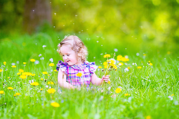 istock Adorable girl playing with dandelions 489433585