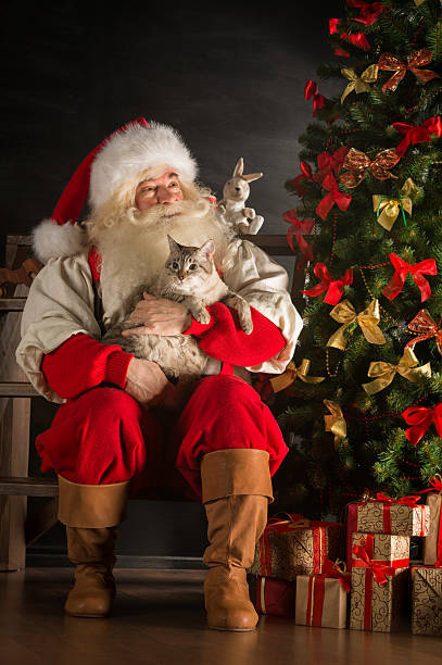 Santa Claus sitting near Christmas tree and embracing his cat Santa Claus sitting near Christmas tree and embracing his cat. Santa at home stroking photos stock pictures, royalty-free photos & images