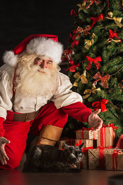 istock Santa Claus with his cat at home 489434966