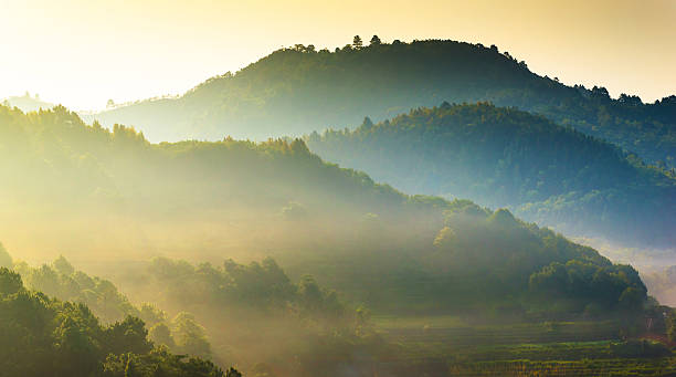 istock Panoramic view misty morning sunrise in mountain at north Thailand 489439662