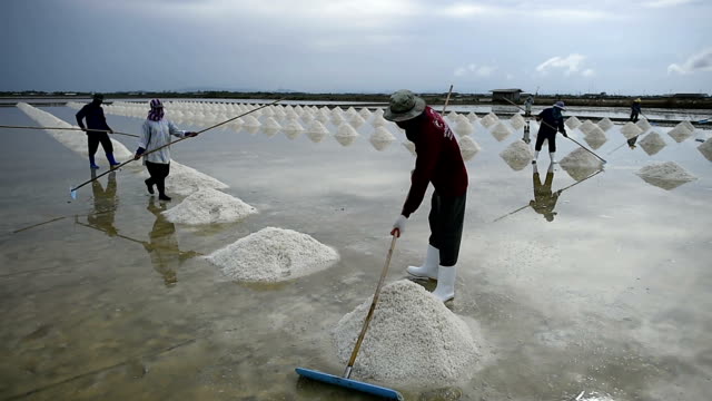 Salt farming