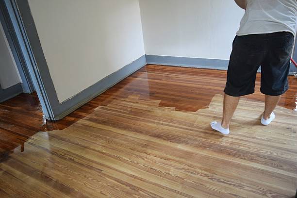 полиуретан приложений - wood coating floor house стоковые фото и изображения