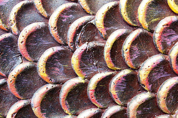 istock Thai art and dragon scales. 489478068