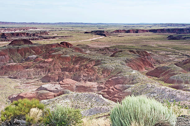 istock Painted Desert Hills and Valleys in Arizona 489478578