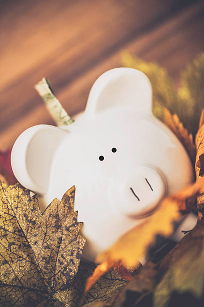 istock Fall Savings. Piggy bank amongst fall leaves with dollar bill 489480782