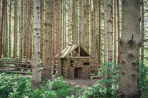 istock Small House In The Wood 489480995