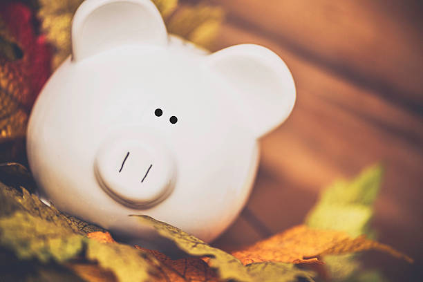istock Fall Savings. Piggy bank amongst fall leaves with copyspace 489481156